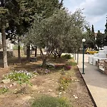 Kaniaris Olive Garden House Апартаменты *