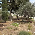 Kaniaris Olive Garden House Парос