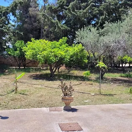 Apartman Dimos *