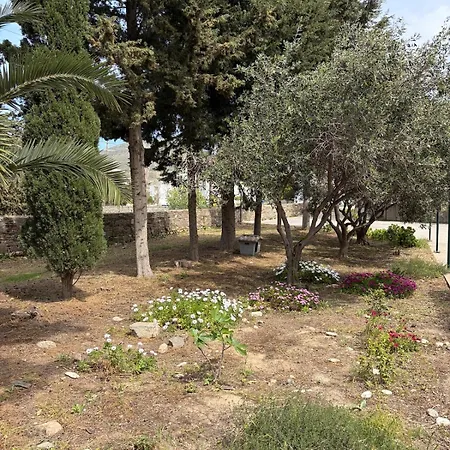 Kaniaris Olive Garden House Páros
